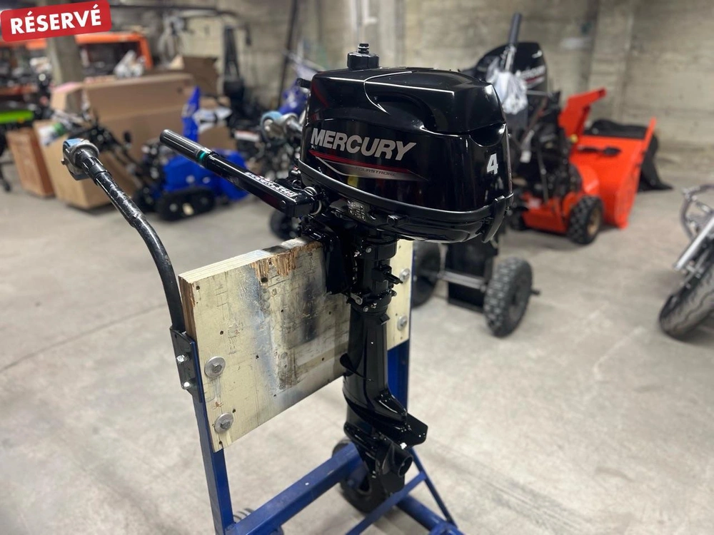 2024 Mercury 4 Hp alt
