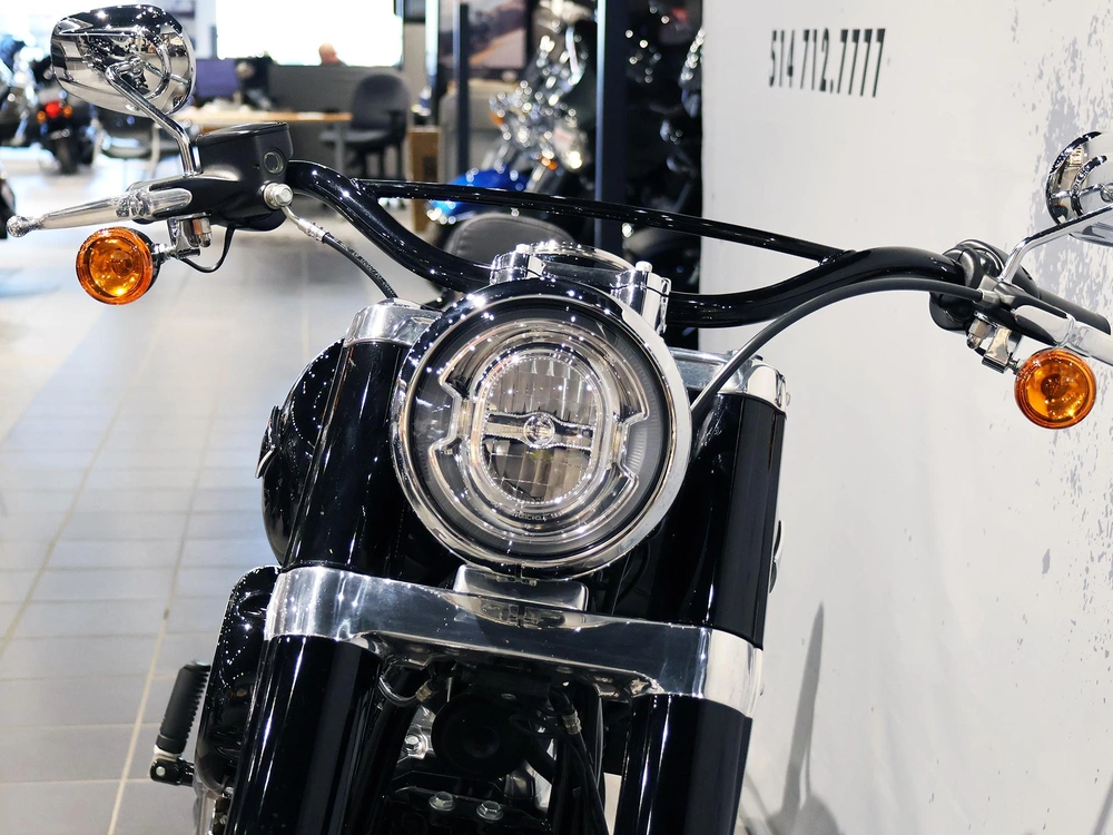 2021 Harley-davidson Softail Slim Flsl alt