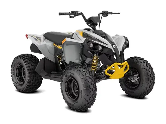 2026 Can-Am REN 2X4 110 4ST - REN