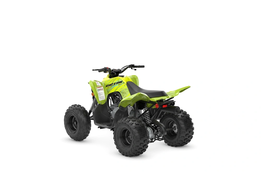 Yamaha Raptor 110 Vert 2026 alt