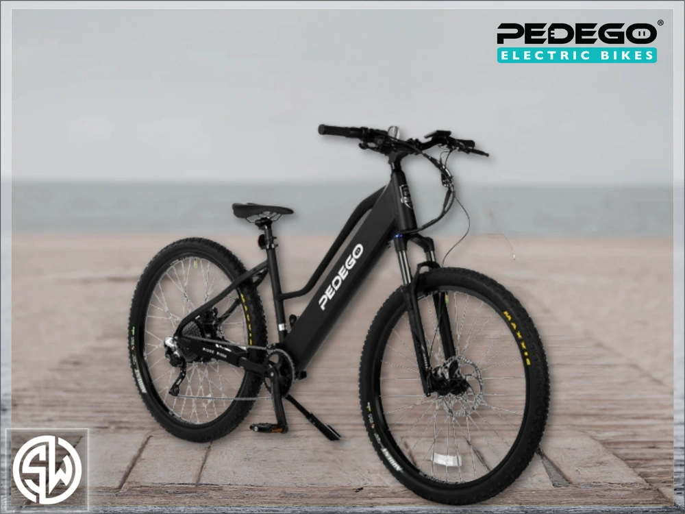 2021 Pedego Ridge Rider alt