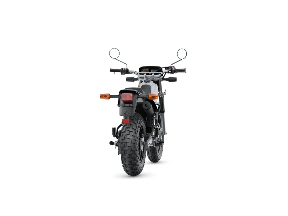2026 Yamaha Tw200 alt