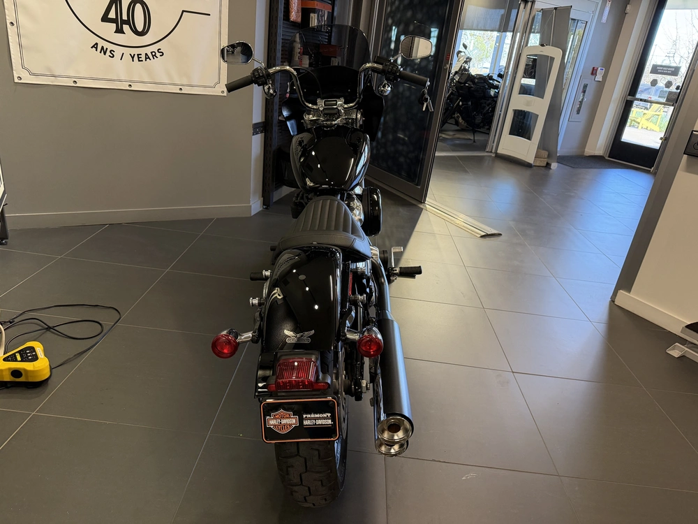 Harley-davidson Softail Standard Fxst Fxst 2023