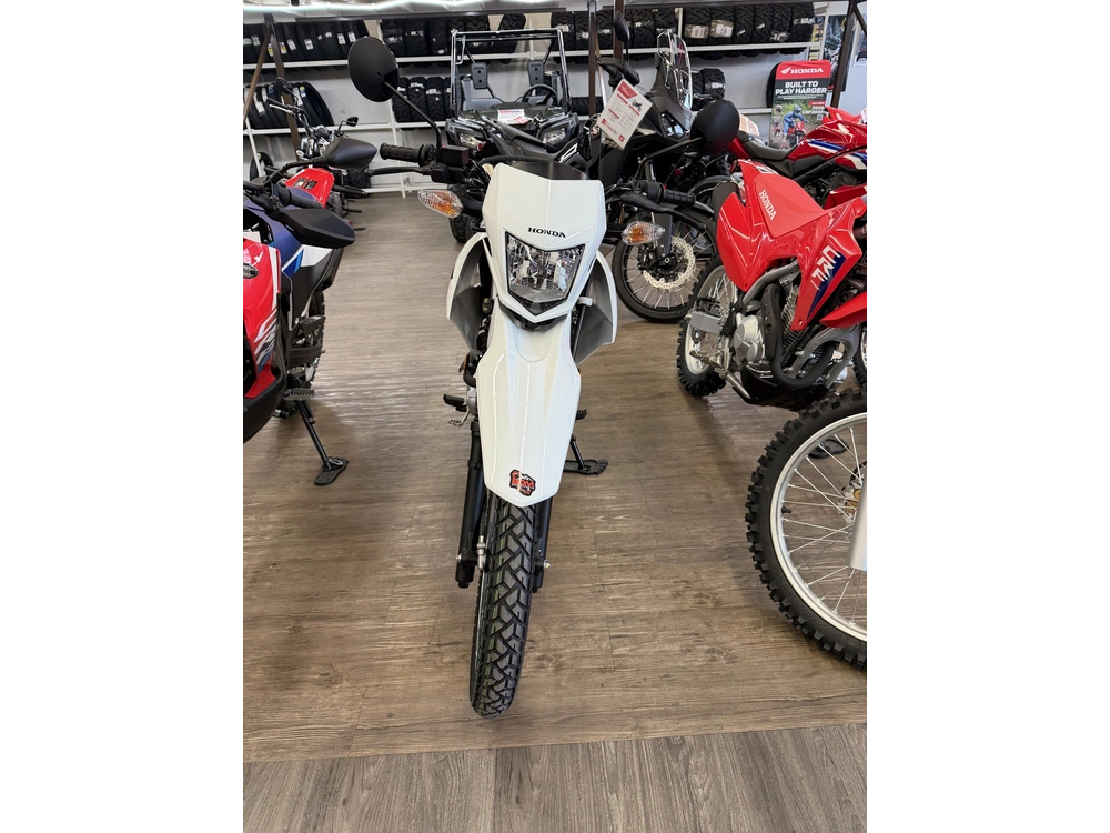 2025 Honda Xr150l alt