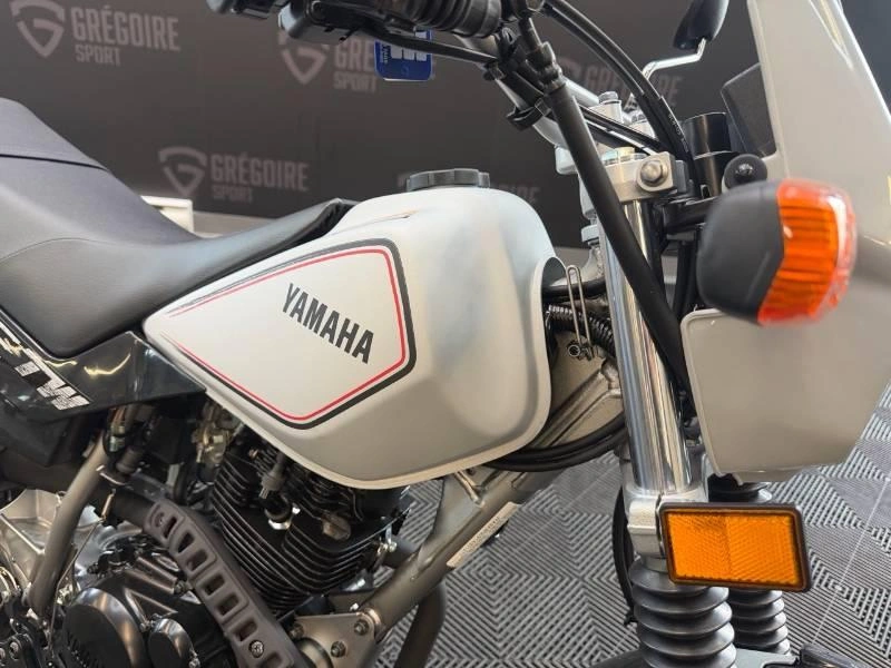 2026 Yamaha Tw200 alt