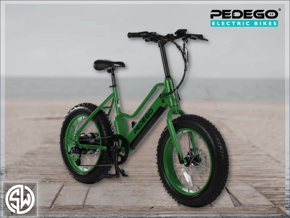 2021 Pedego Element alt