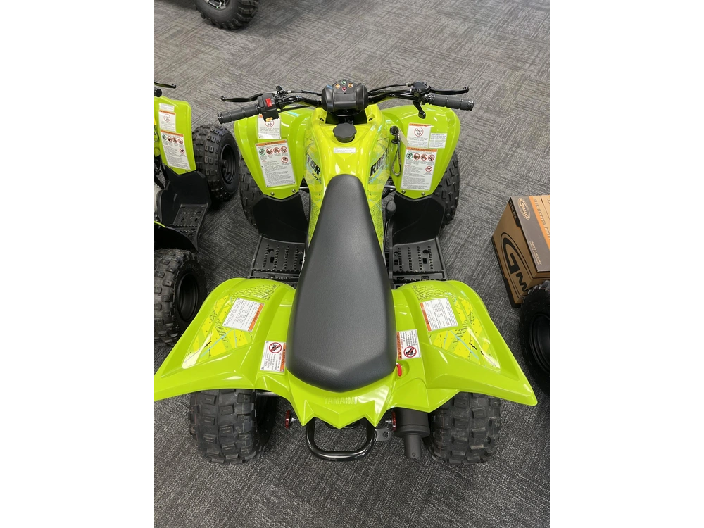2026 Yamaha Raptor 110 alt