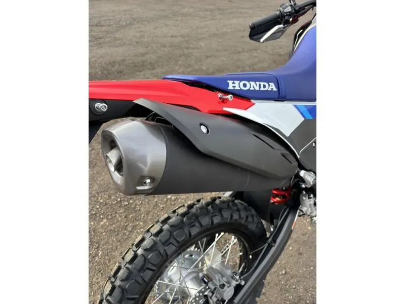 2026 Honda CRF300L Rally thumbnail 15
