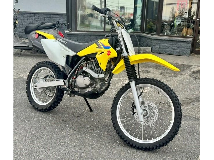 2019 Suzuki Dr-z 125l alt