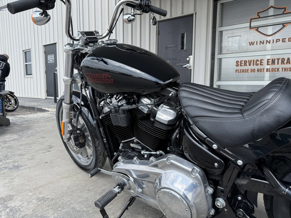 2024 Harley-davidson Softail Standard alt