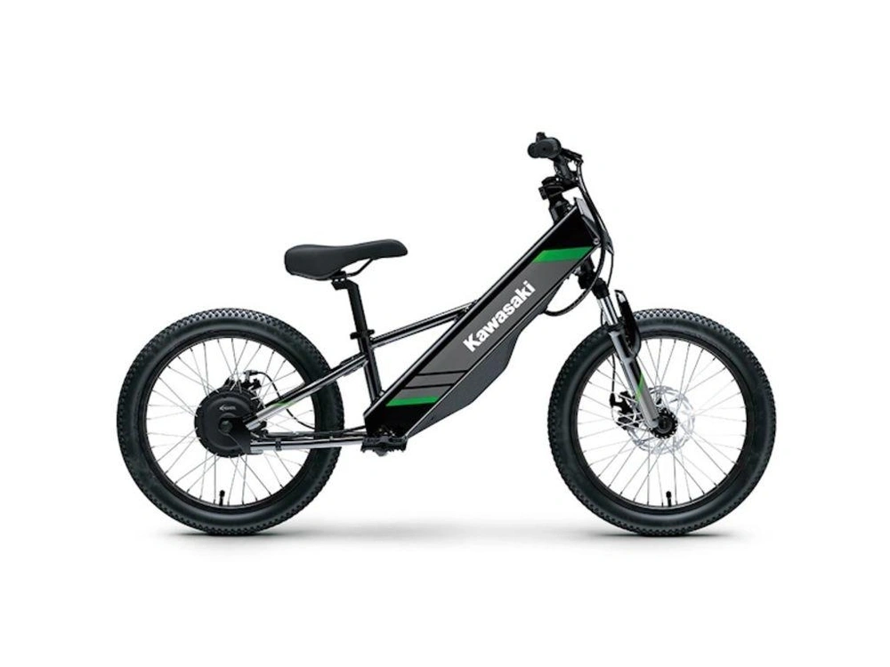 2025 Kawasaki Elektrode 20 alt