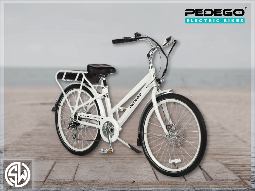 2021 Pedego City Commuter alt