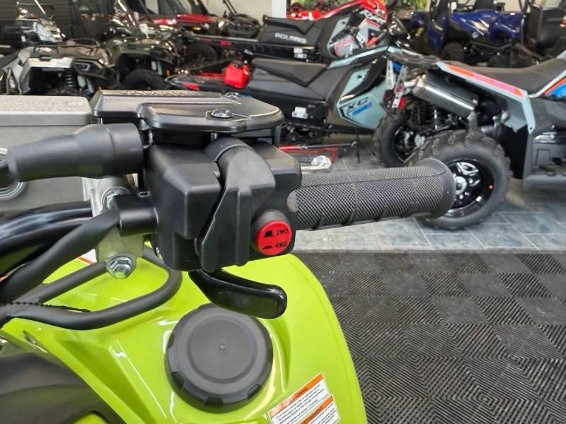 2026 Yamaha Grizzly Dae alt