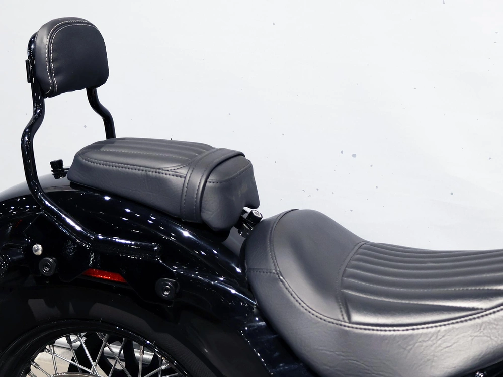 2021 Harley-davidson Softail Slim Flsl alt