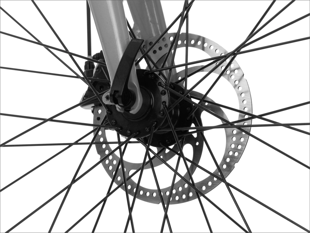 2022 Pedego Avenue alt