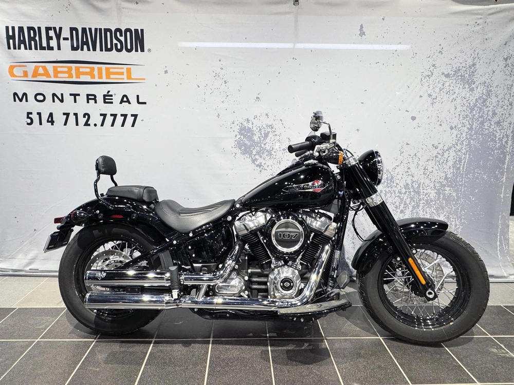 2021 Harley-davidson Softail Slim Flsl alt