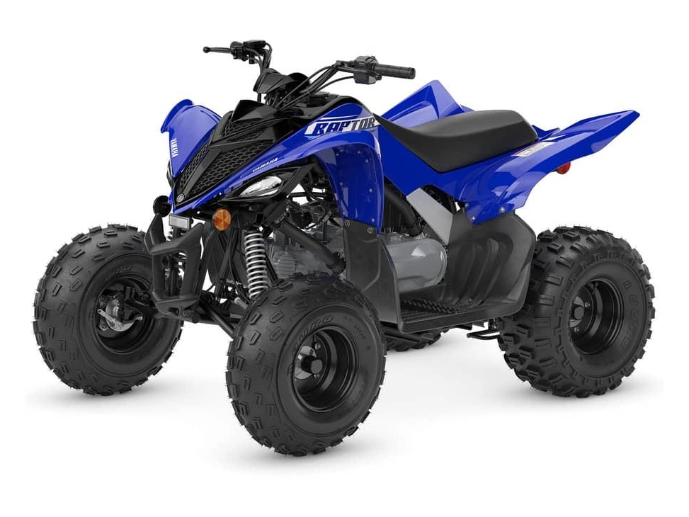Yamaha Raptor 110 2026 alt