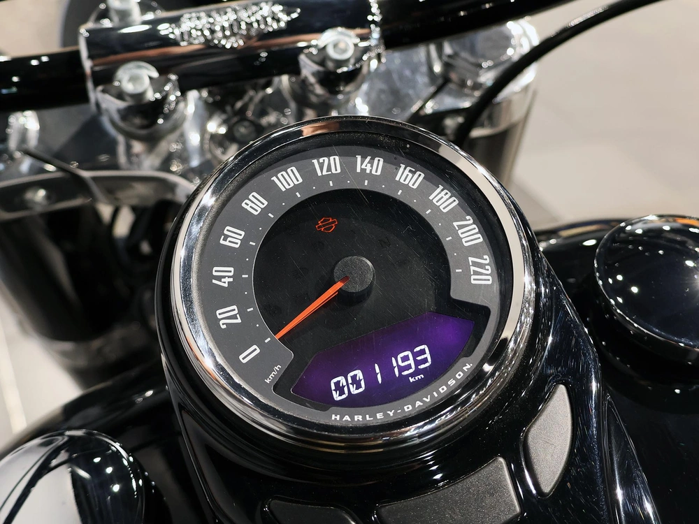 2021 Harley-davidson Softail Slim Flsl alt