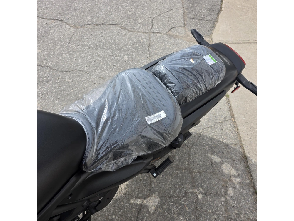 2025 Kawasaki Eliminator 500 alt