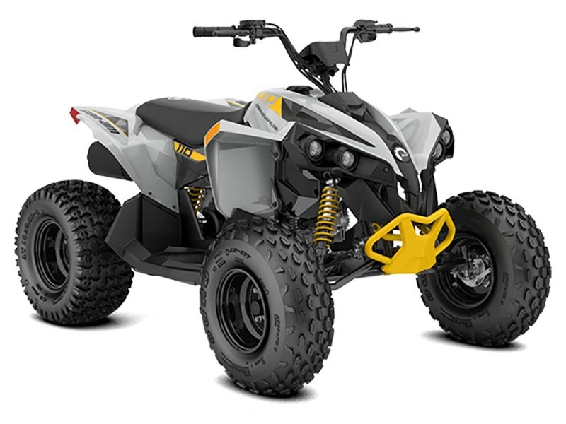 Can-am Renegade 110 Efi 2026 alt