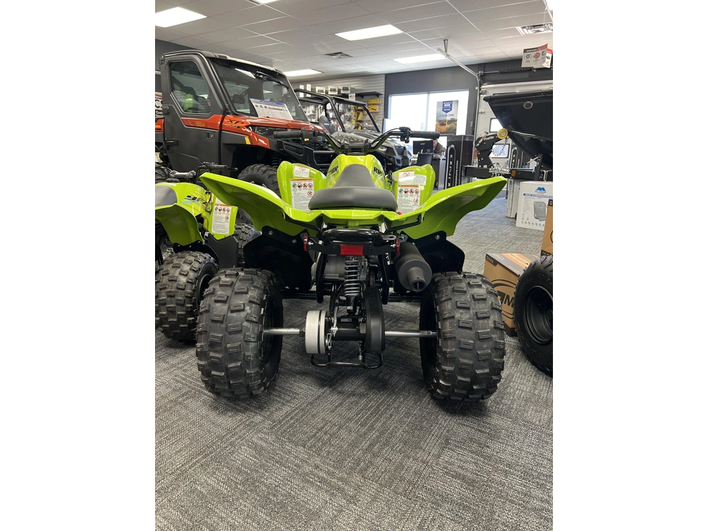 2026 Yamaha Raptor 110 alt