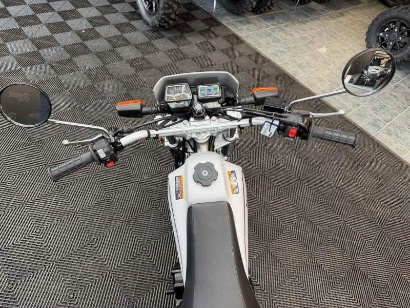 2026 Yamaha Tw200 alt