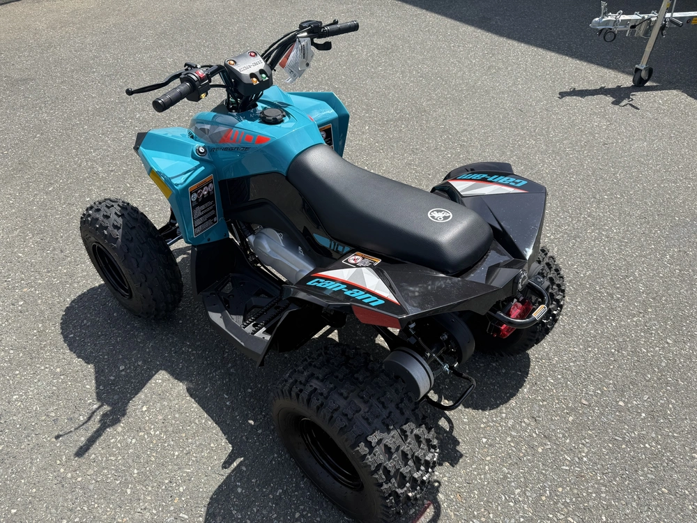 2026 Can-am Renegade 110 Efi alt