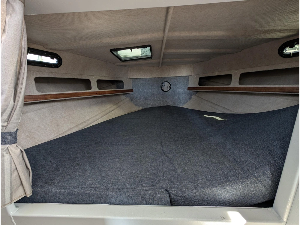 2026 Kingfisher 3425 Gfx alt