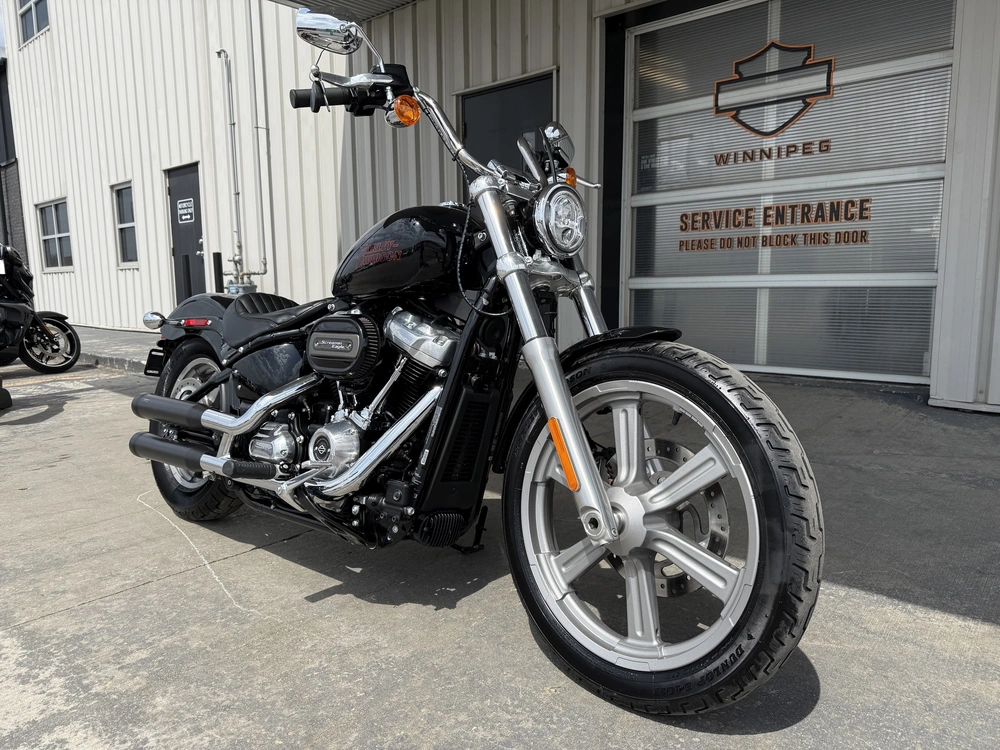 2024 Harley-davidson Softail Standard alt