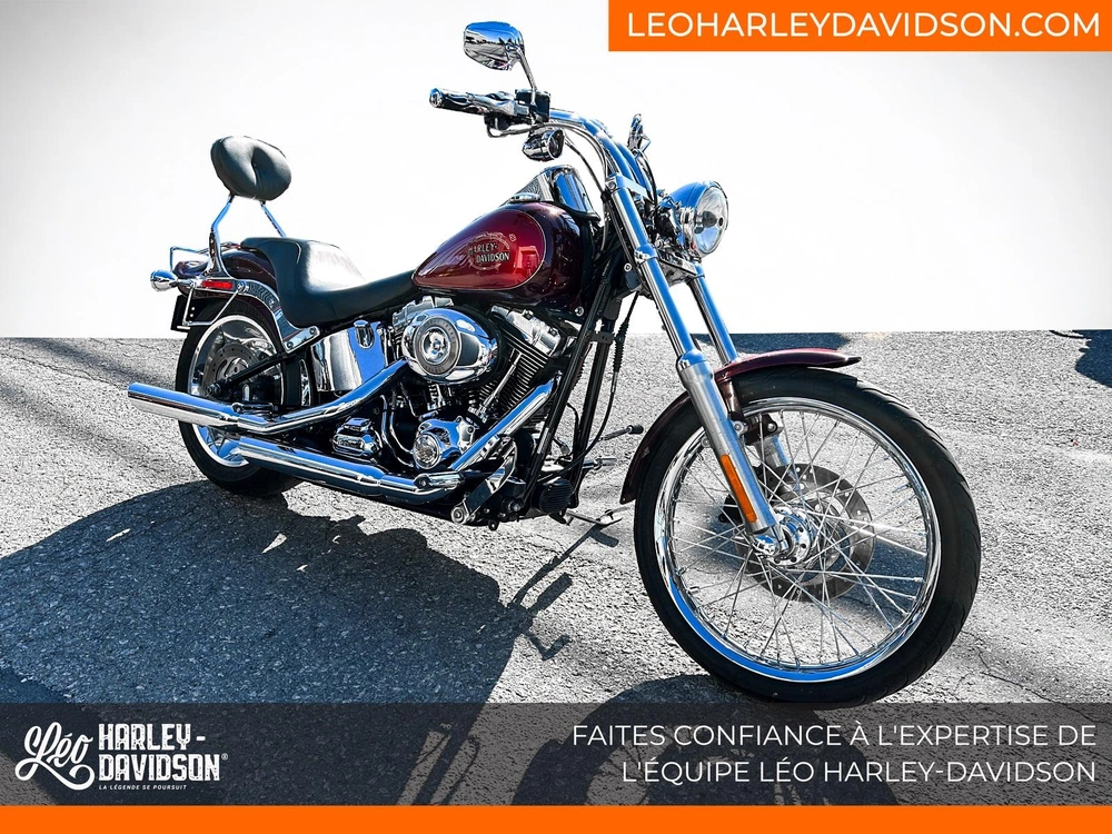 Harley-davidson Fxstc Softail Custom 2008 alt