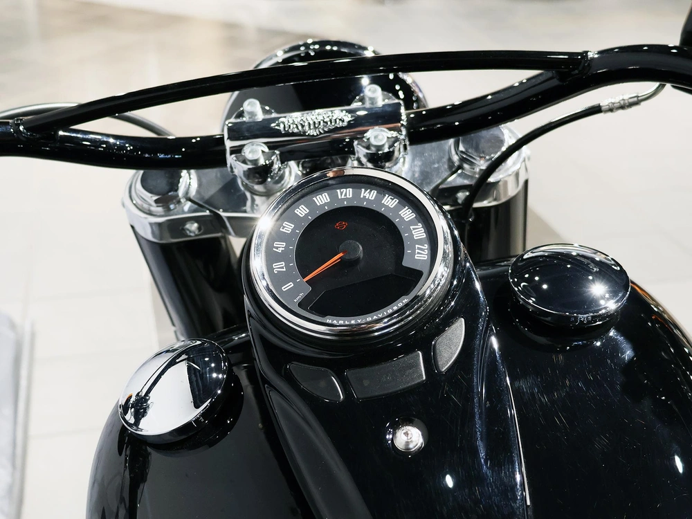 2021 Harley-davidson Softail Slim Flsl alt