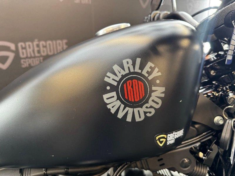Harley-davidson Xl883 2019 alt
