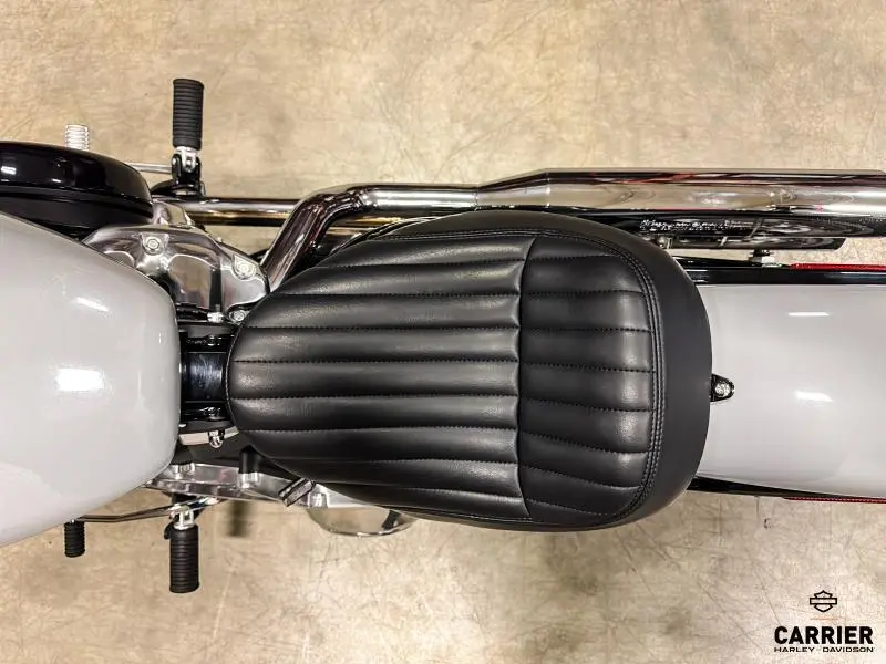 2024 Harley-Davidson Moto Harley-Davidson SOFTAIL STANDARD 2024 thumbnail 10