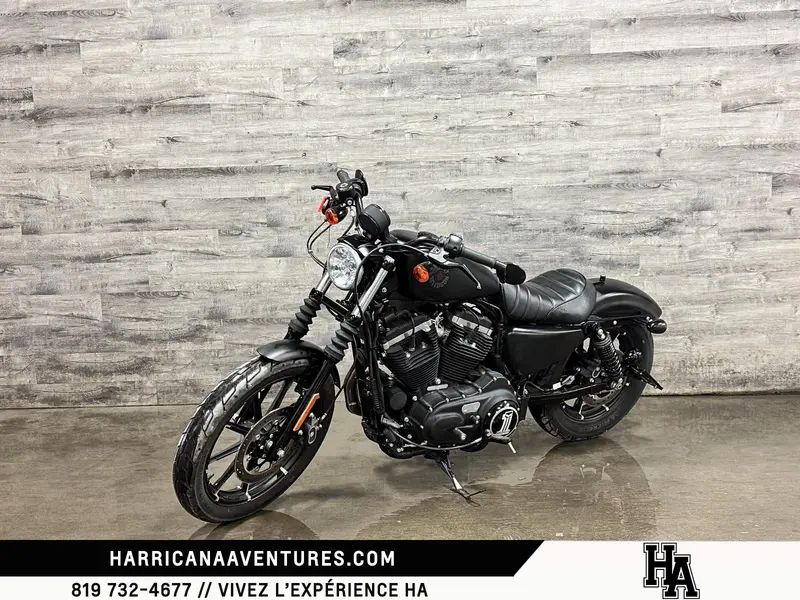 2019 Harley-Davidson XL883N IRON thumbnail 5