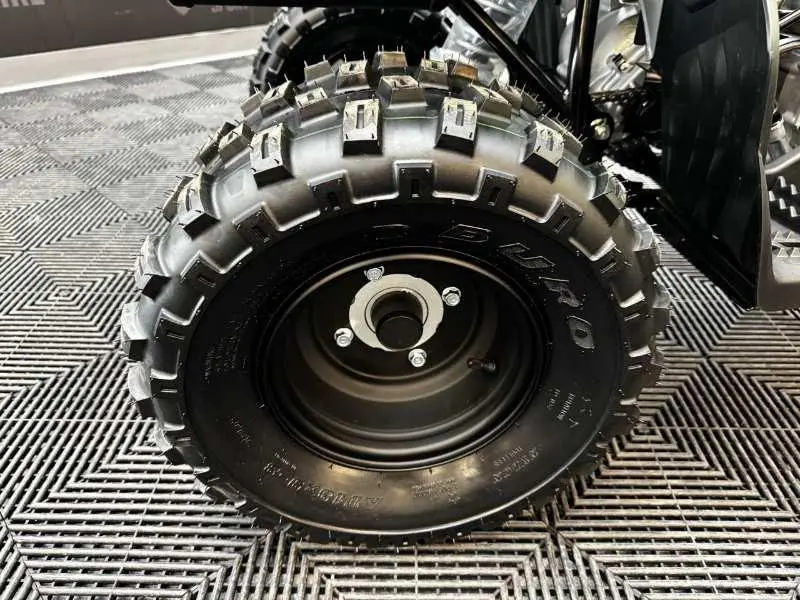 2026 Yamaha Raptor 110 thumbnail 3