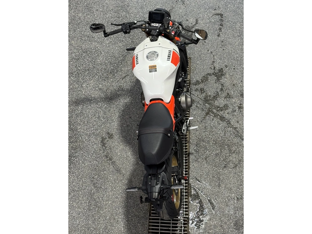 Yamaha Xsr 900 2024 alt