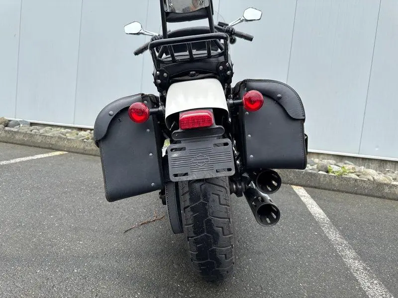 2018 Harley-Davidson FLSL - Softail Slim thumbnail 20