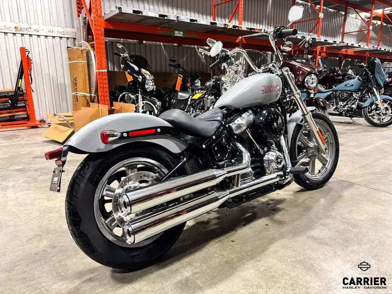 2024 Harley-Davidson Moto Harley-Davidson SOFTAIL STANDARD 2024 thumbnail 9