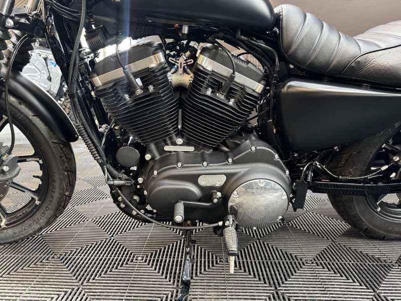 Harley-davidson Xl883 2019 alt