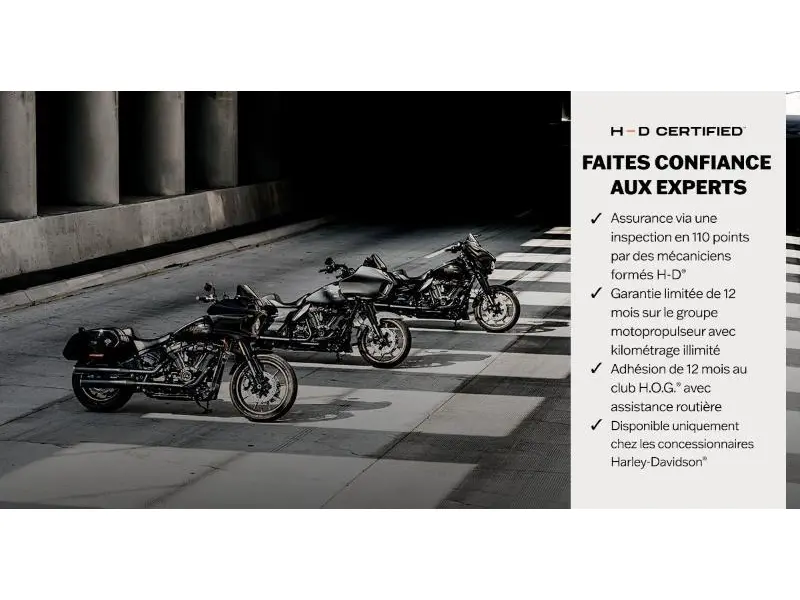 2024 Harley-Davidson Moto Harley-Davidson SOFTAIL STANDARD 2024 thumbnail 2