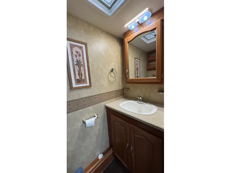 2006 Forest River GEORGETOWN 319TS thumbnail 17