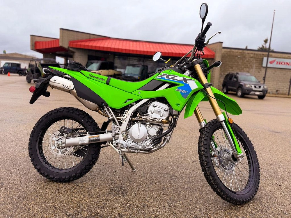 2026 Kawasaki Klx®300 alt
