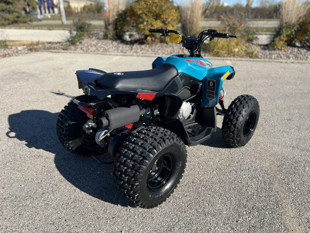 2026 Can-am Renegade 110 Efi alt
