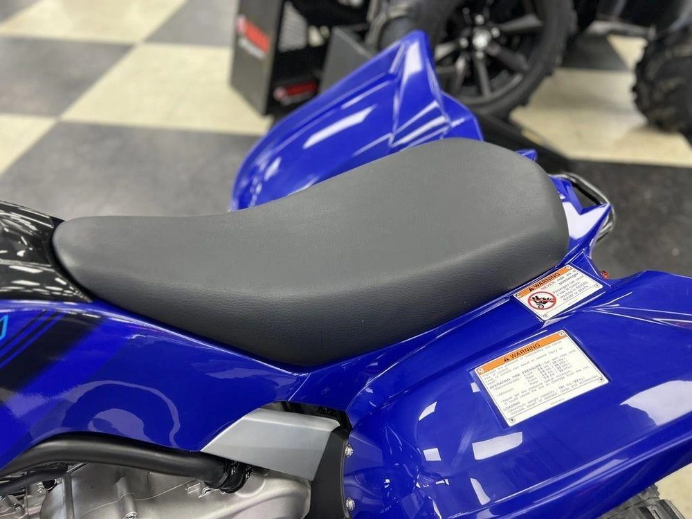 2025 Yamaha Raptor 110 alt