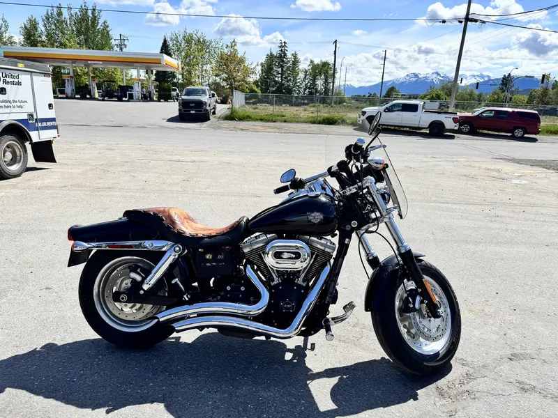 2013 Harley-Davidson DYNA FAT BOB (FXDF 103) thumbnail 11