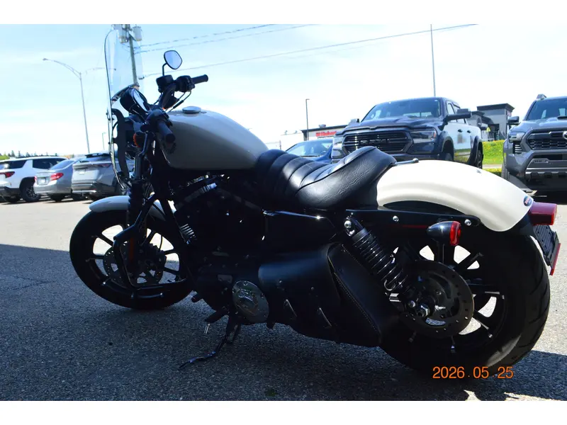 2022 Harley-Davidson XL883N thumbnail 5