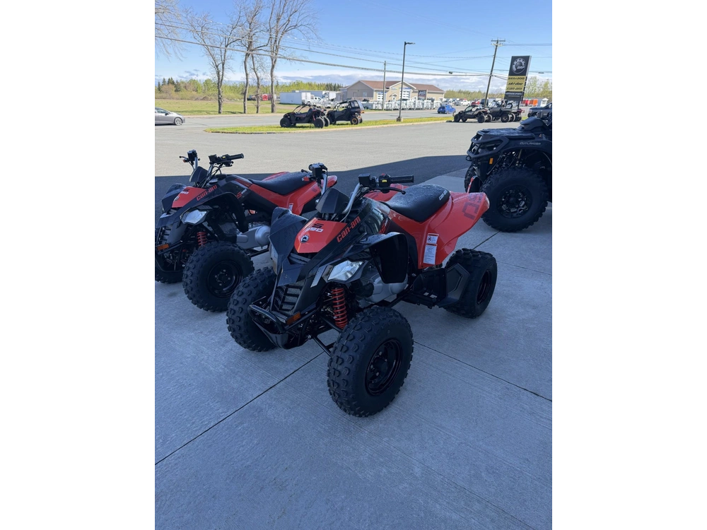 Can-am Ds250 2026 alt