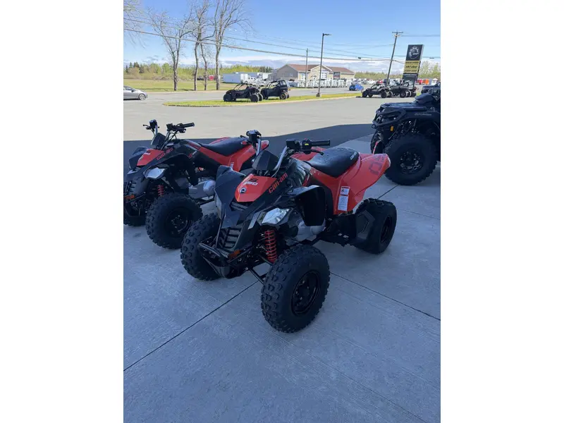 2026 Can-am Ds250 alt