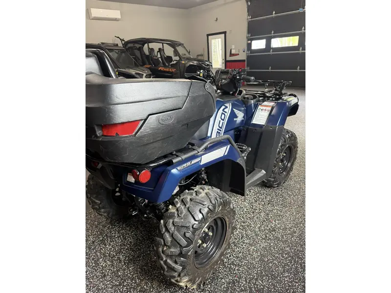 2024 Honda RUBICON 520 IRS thumbnail 5