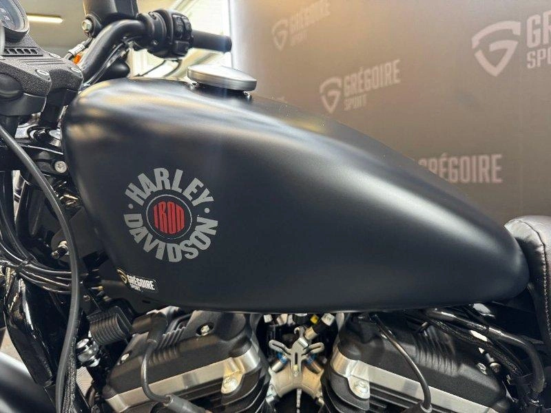 Harley-davidson Xl883 2019 alt